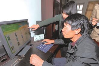 浦口杨村番茄