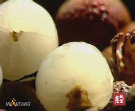诏安乌叶荔枝