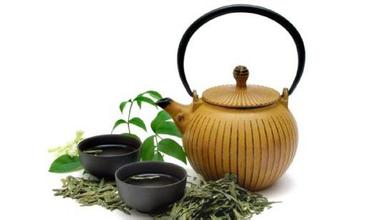 瑞安白毛茶