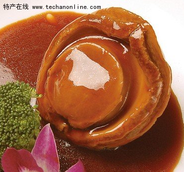 南日鲍