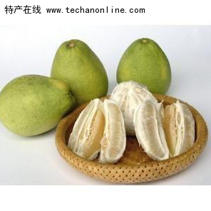 坂里龙柚