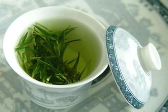 龙岩斜背茶