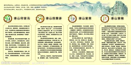 泰山“四大名药“