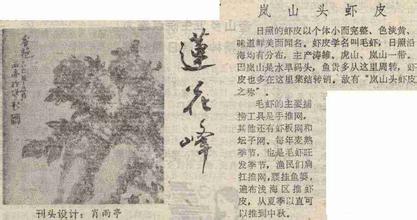 岚山头虾皮