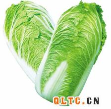 唐王道口大白菜