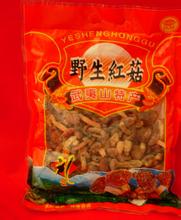 一都红菇