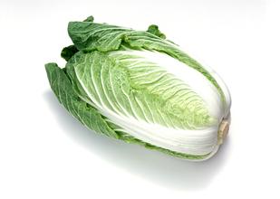 大白菜