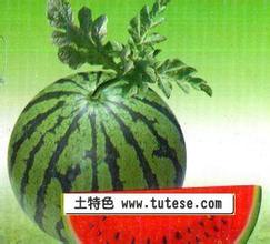 明清宫廷膳品丰庄枣干