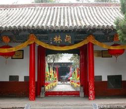 洛龙零余芋