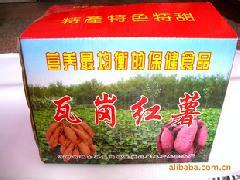 瓦岗红薯