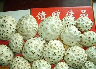 泌阳花菇