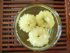 怀菊花茶