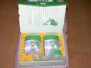 黄河口槐蕾茶