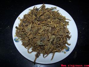 确山全蝎