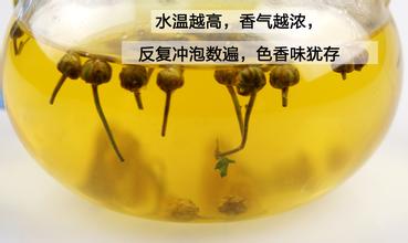 珍珠菊茶