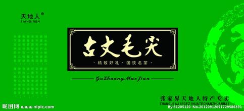 古丈毛尖