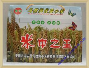 马投涧优质小米
