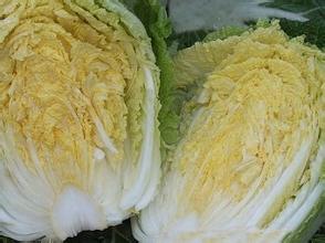 获嘉大白菜