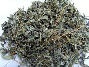 铅山苦甘茶