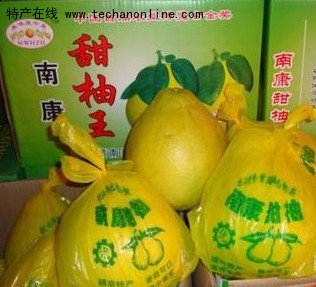 南康甜柚