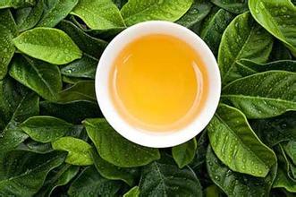 黄梅禅茶