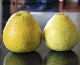广丰马家柚