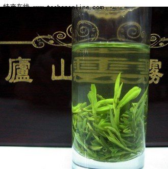 庐山云雾茶