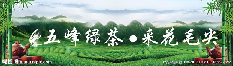 五峰绿茶