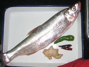 仙女湖野生鱼