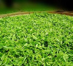 仙女湖名茶