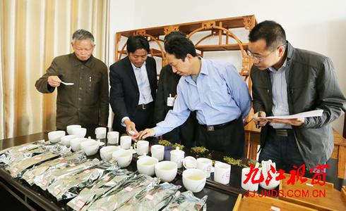 金盘庐山云雾茶