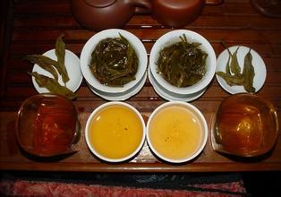 罗湾圣茶