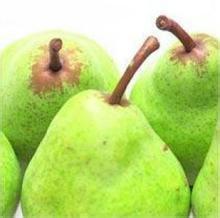 龙南坳背梨