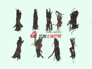 铁骨人参