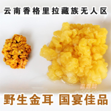 黄金黑木耳