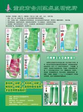 合川丝瓜