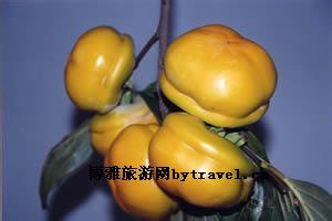 城口磨盘柿