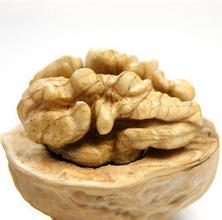 巴山核桃