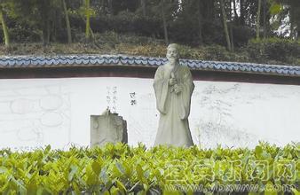 宜宾早茶香
