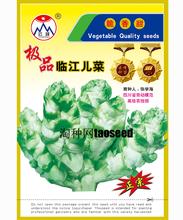 临江儿菜