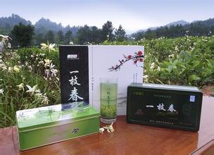 李家山绿茶