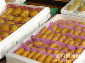 中晚熟芒果