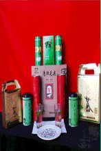 清池毛尖