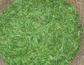 松桃绿茶