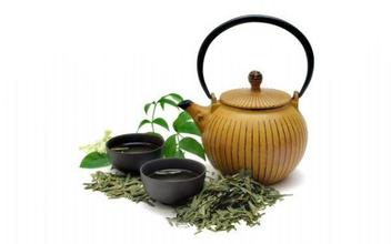 姑箐贡茶