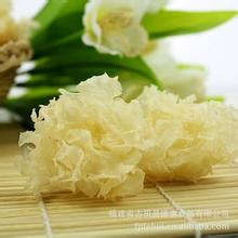 银耳花