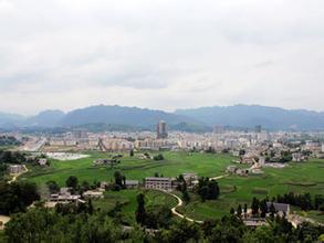 绥阳蕨苔