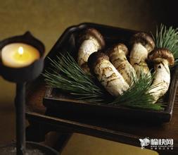 德钦松茸