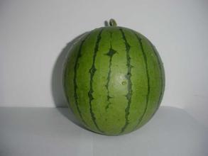 小西瓜