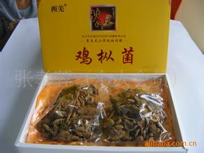 美味鸡纵菌